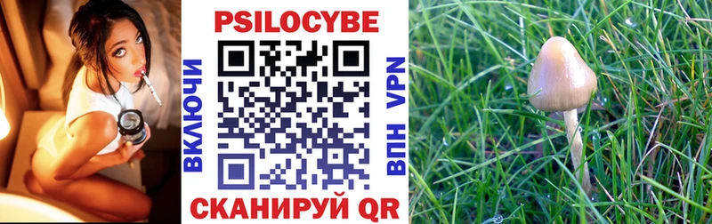 omg tor  Новокузнецк  Псилоцибиновые грибы прущие грибы 