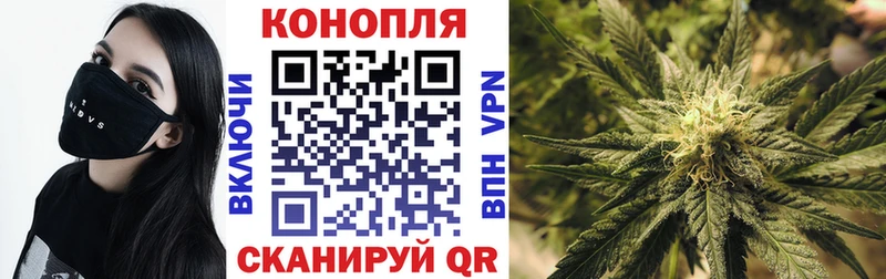 где найти   Новокузнецк  даркнет формула  Шишки марихуана SATIVA & INDICA 
